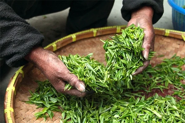米のとぎ汁は植物に効果は？本当？私が教える
