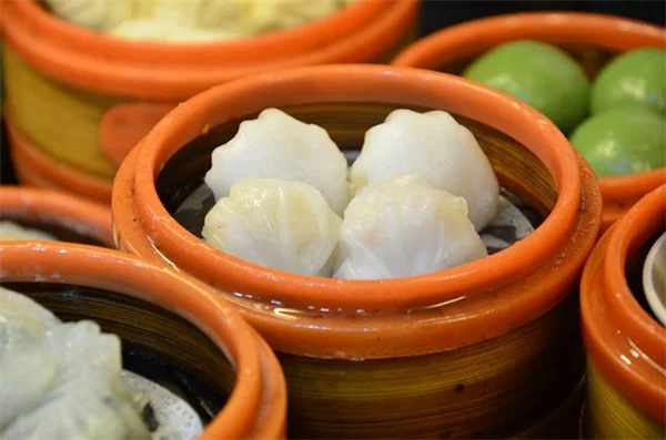 実際に使ってわかった！KOOSA虫よけバグザッパーの効果と注意点