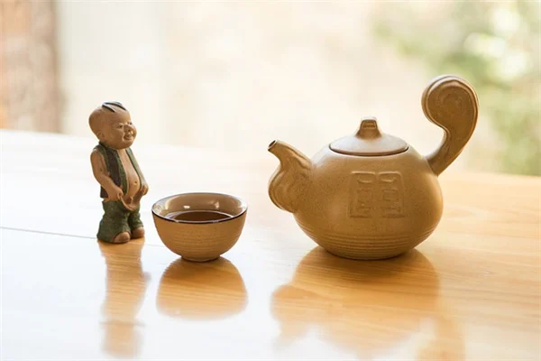 サボテンの植え替えが怖い？痛くない方法と失敗しないコツ